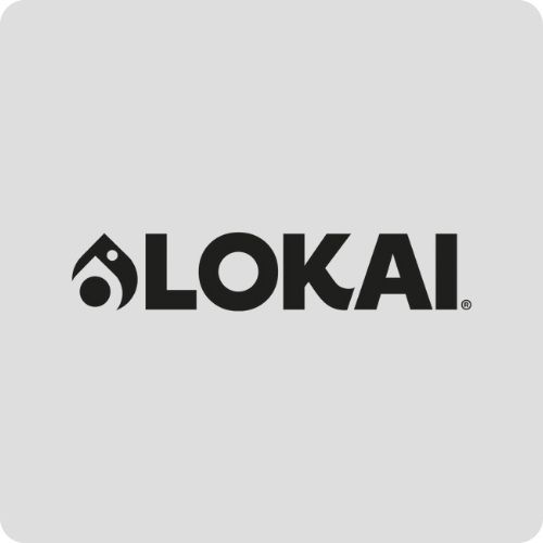 LOKAI The Link Companies